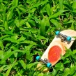 DSCN2731